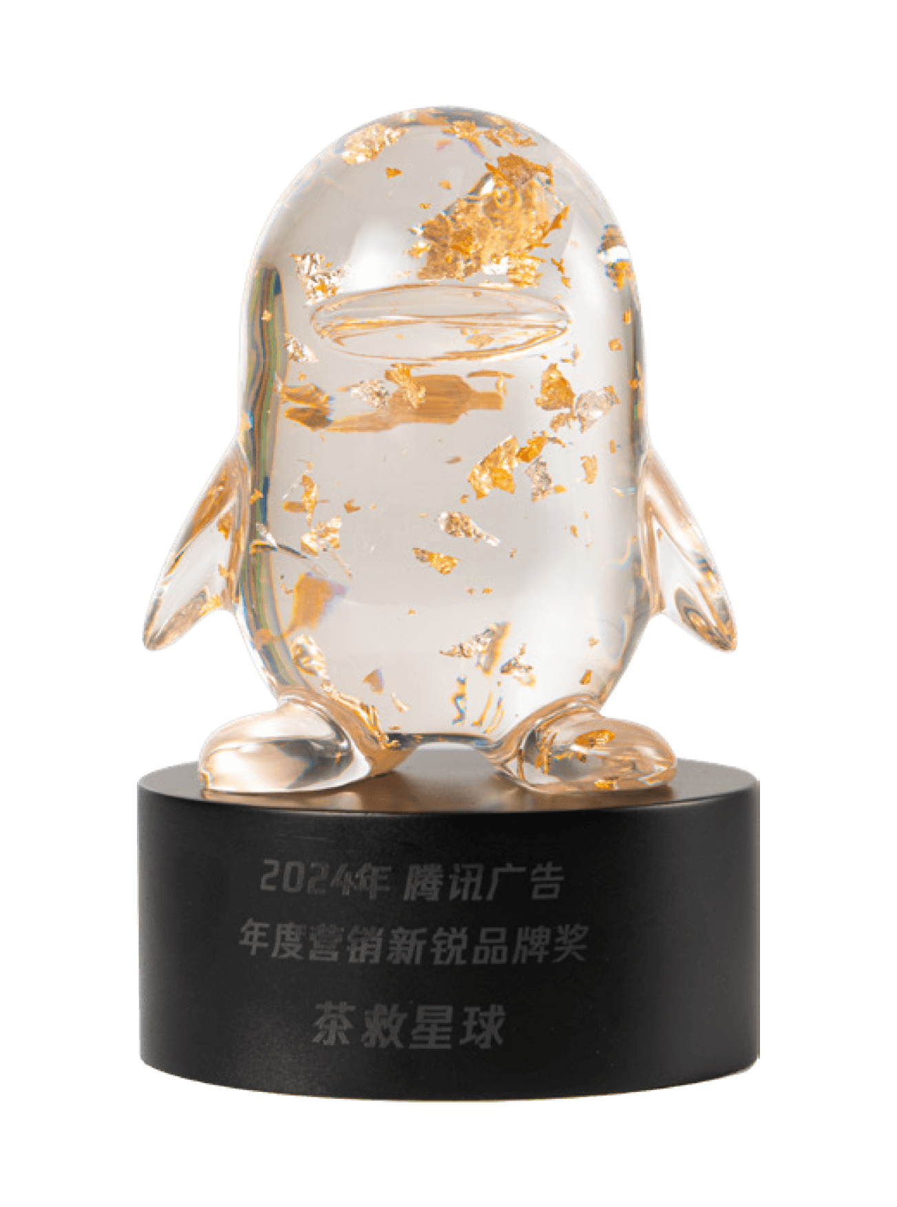 年度营销新锐品牌奖